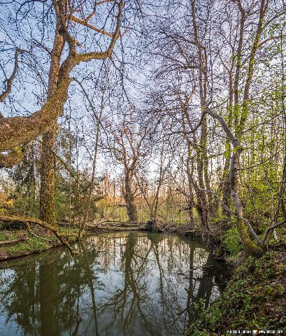 Gemeinde Eggenfelden Landkreis Rottal-Inn Lichberger Wald (Dirschl Johann) Deutschland PAN